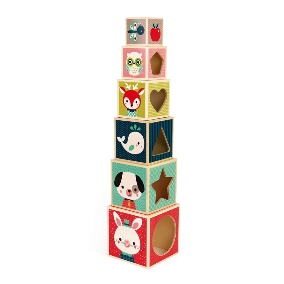 Janod Baby Forest Piramide 6 Cubi (legno)