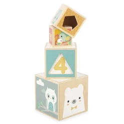 Janod Piramide Pure a 6 cubi